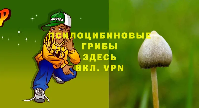 Псилоцибиновые грибы Psilocybine cubensis  mega ссылки  Агрыз 